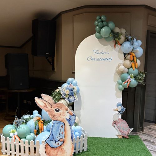 gallery-1-peter-rabbit-christening-sailboard.jpeg